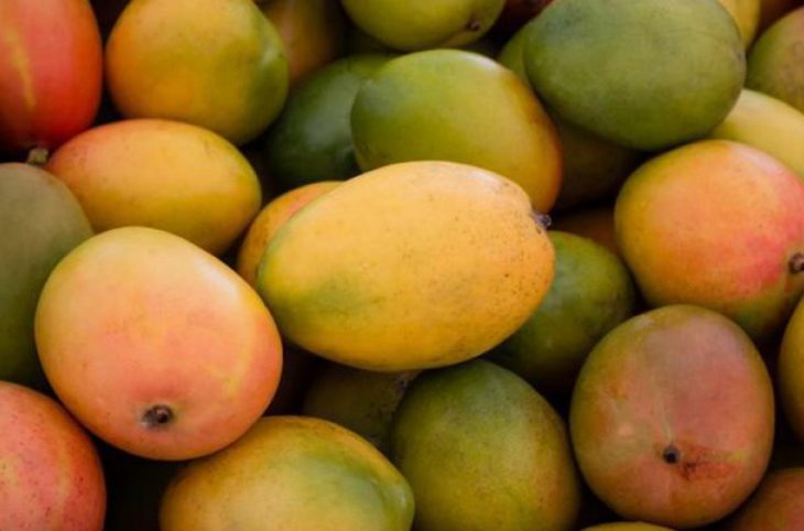 Vente de la mangue, une aubaine pour des jeunes filles de Yorosso