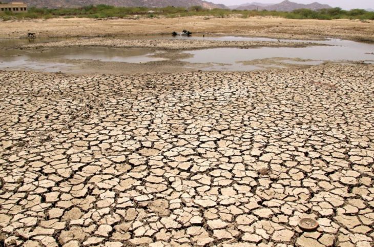 Face au changement climatique, des femmes leaders de Kadiolo outillées