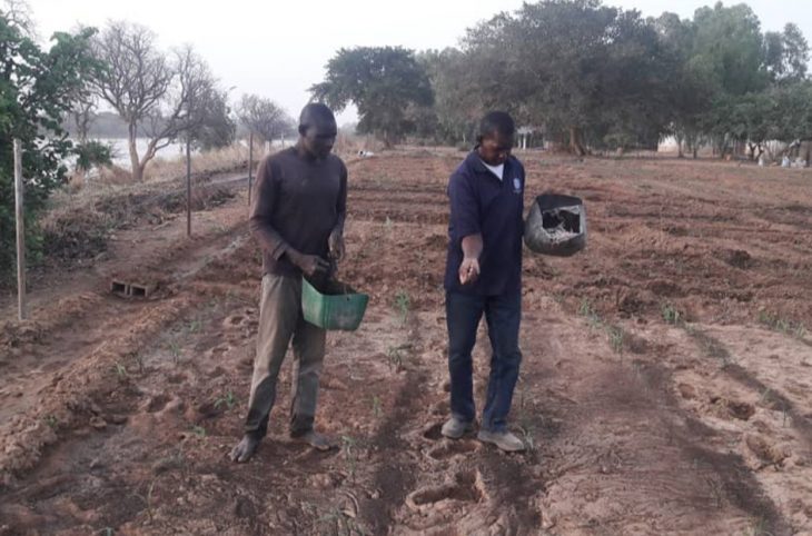 Accès aux intrants agricoles : des producteurs de plus en plus inquiets