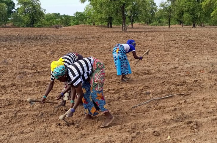 Bandiagara-Bankass : la campagne agricole menacée par l'insécurité