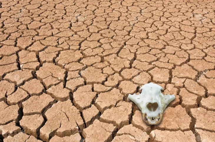 ''Parlons de l'Environnement'' : changement climatique, la vulnérabilité du Mali rappelée par la Banque mondiale