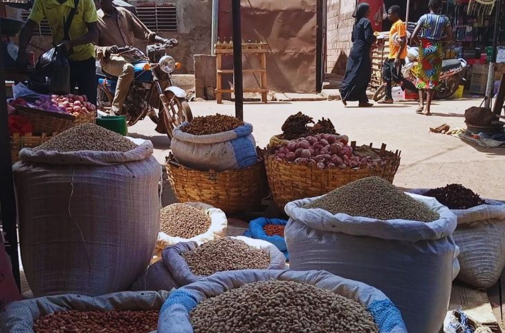 Koulikoro : baisse des prix des céréales