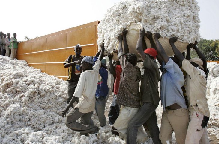 <strong>Transformation du coton : la construction de deux unités avec 5000 emplois directs, annoncée par l’État</strong>