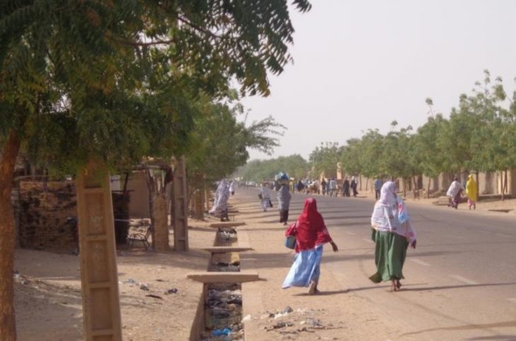 <strong>Ansongo : des hommes armés s'en prennent à des habitants</strong>