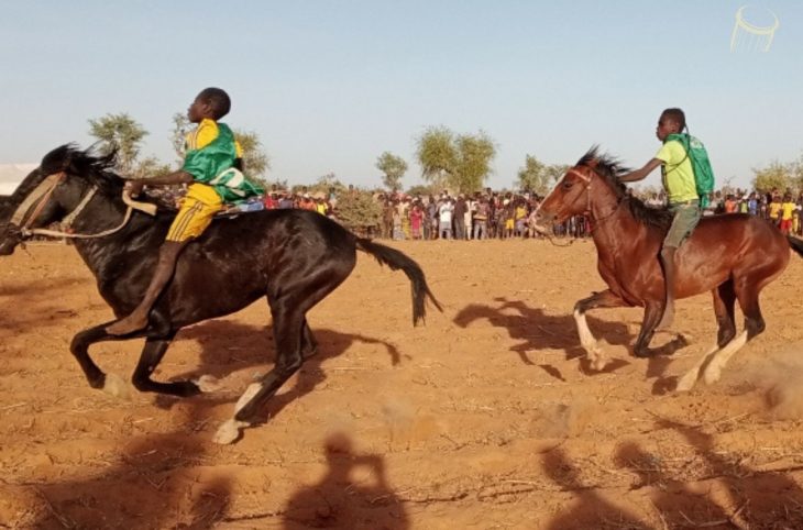 <strong>Course de chevaux à Bankass pour promouvoir la cohésion sociale</strong>