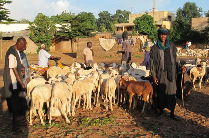 <strong>Le corps d’un jeune berger retrouvé dans les grottes à Bafoulabé</strong>