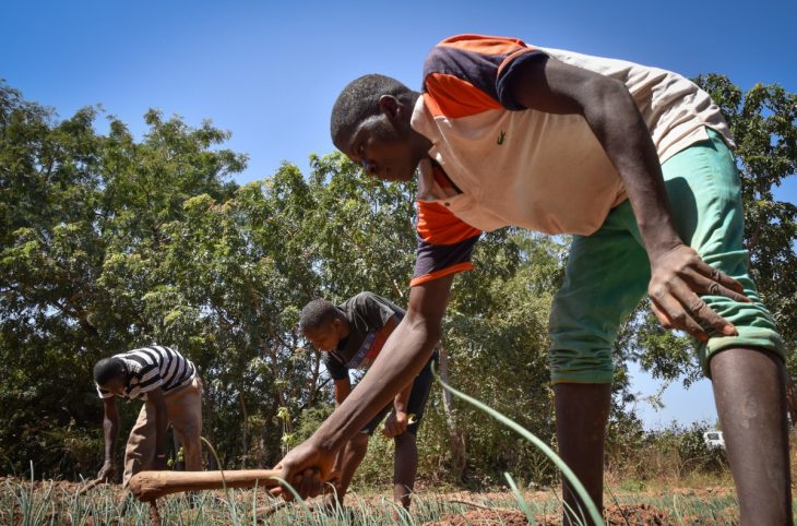 <strong>Des hommes de médias de Sikasso engagés dans la promotion des emplois verts</strong>