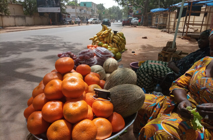 <strong>Abondance de fruits et légumes à Ansongo</strong>