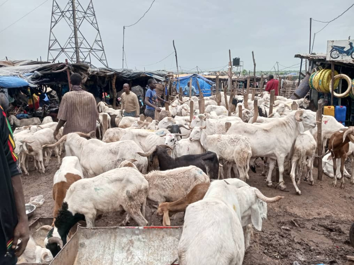 « Parlons de l’environnement » quand la fête de Tabaski accentue l’insalubrité, au Mali