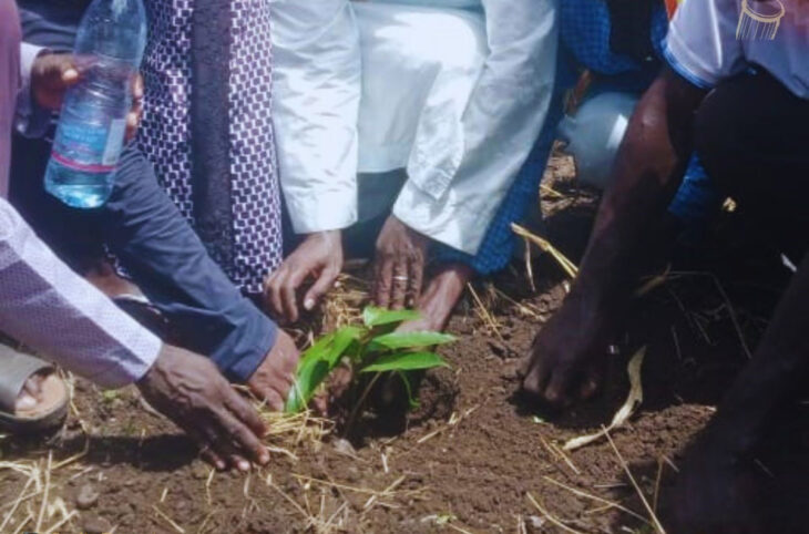 Célébration de la journée de la jeunesse à Kayes et Bafoulabé