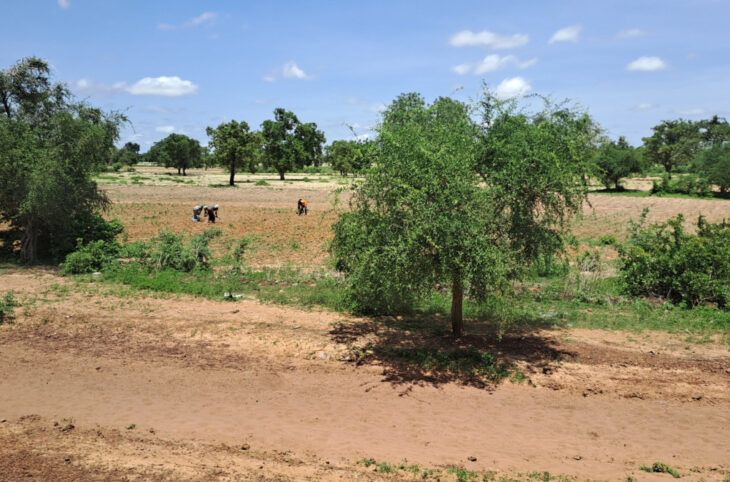 Recrudescence de l'insécurité : une menace sur la campagne agricole au Centre du Mali ?