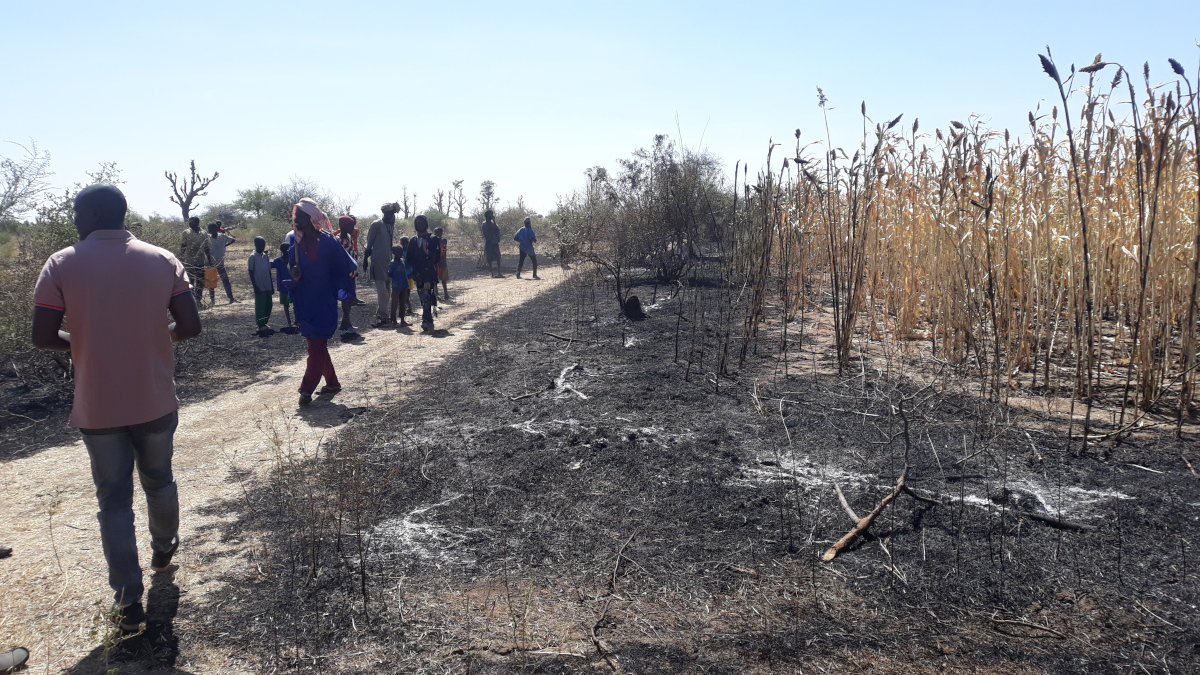 « Magazine parlons de l’environnement » feu de brousse, un élément qui tue la rentabilité du sol