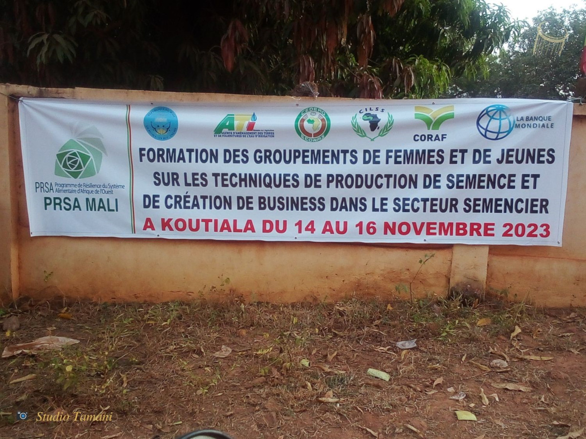 Formation à Koutiala sur la production de semence