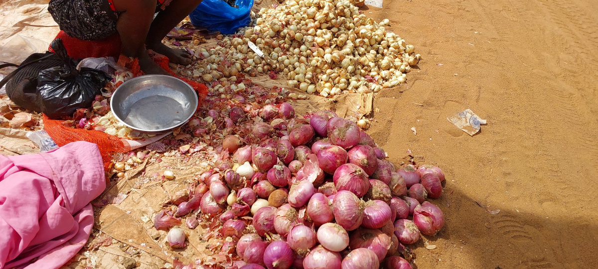 Une baisse du prix de l’oignon constatée à Koulikoro