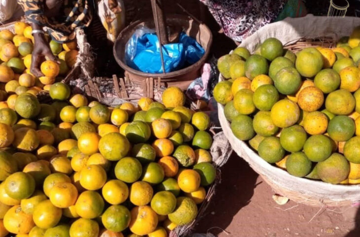 Le marché de l'orange, en manque d'encadrement