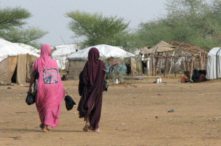 Réfugiés maliens au Sahel : la prise en charge, un défi au quotidien