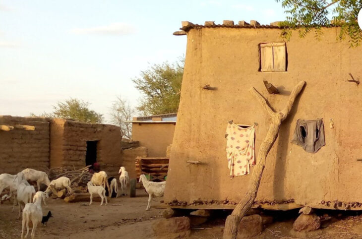 Des morts et des animaux emportés dans la commune de Bankass