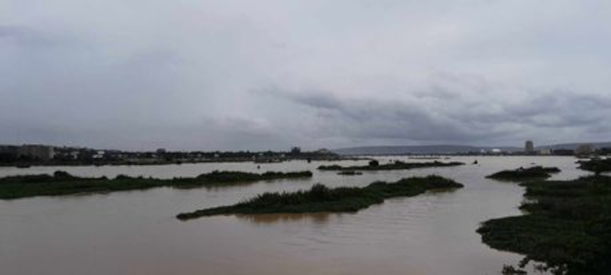 Magazine parlons de l’environnement : baisse alarmante du niveau du fleuve Niger au centre et au nord du Mali