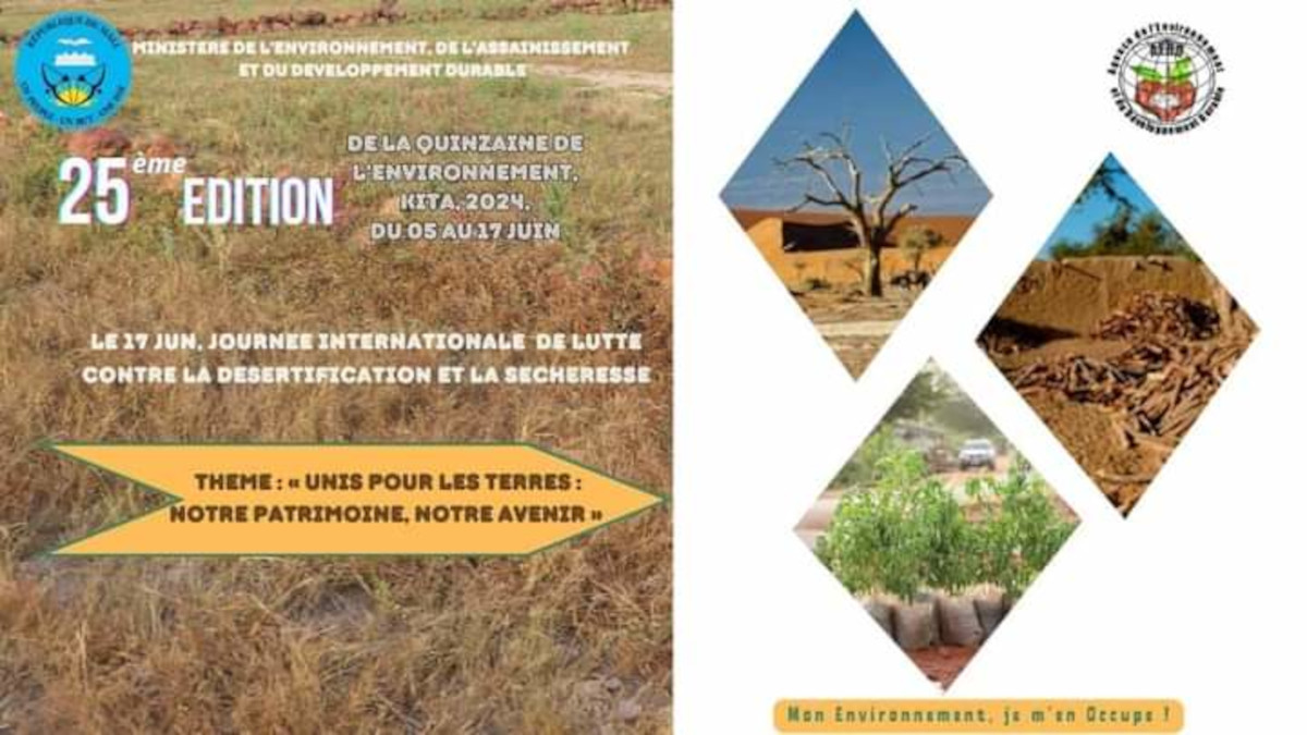 Quinzaine de l’environnement au Mali : le bilan reste « mitigé »