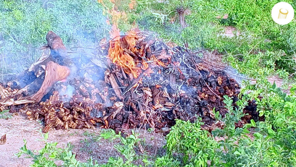 Incinération de viande avariée à Kadiolo