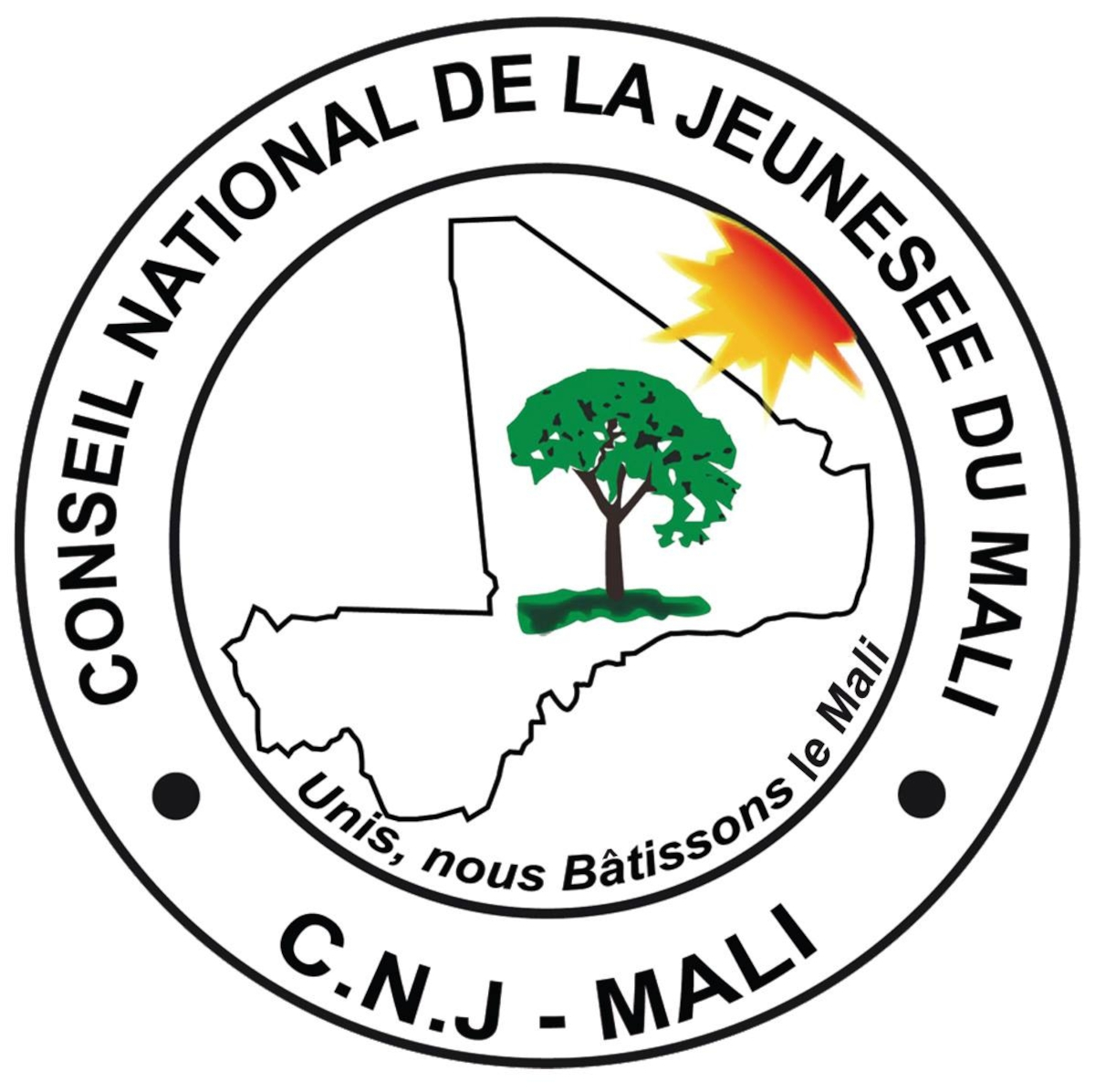 CNJ : retour à la case départ