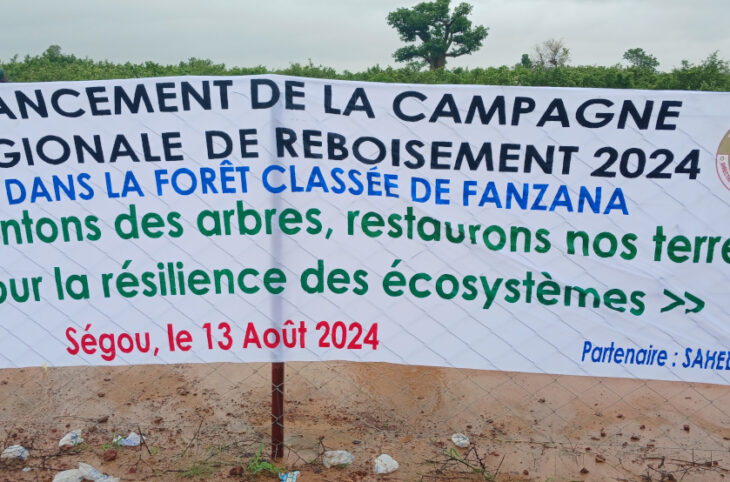 Plus de 300 pieds d'arbres seront bientôt plantés à Ségou