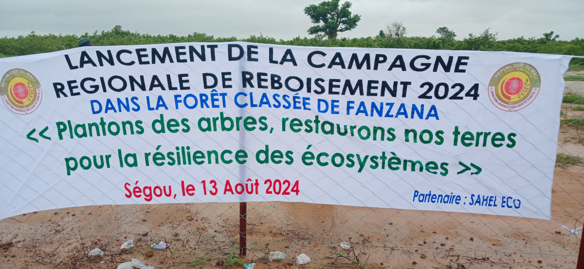 Plus de 300 pieds d’arbres seront bientôt plantés à Ségou