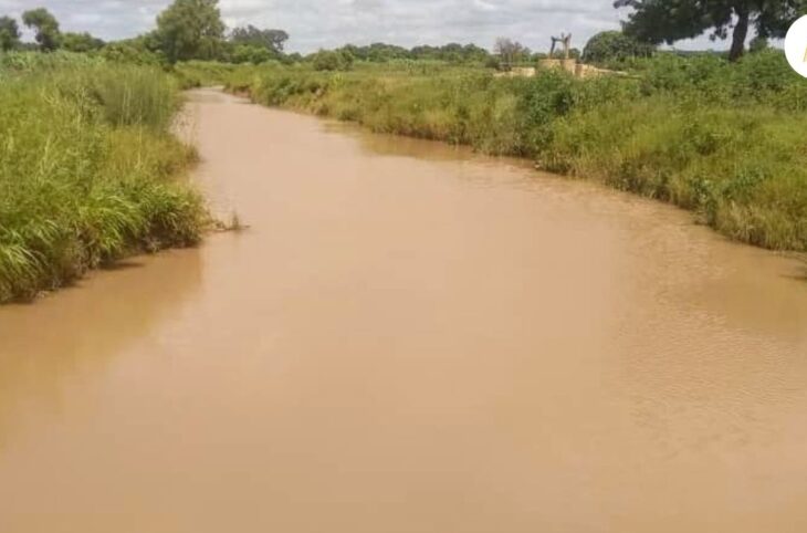 Mali : l'ingéniosité des jeunes ruraux pour retenir les eaux de pluie