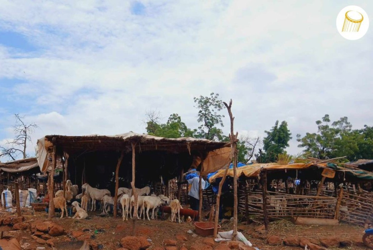 Compromis difficile autour de la délocalisation des marchés à bétail à Bamako