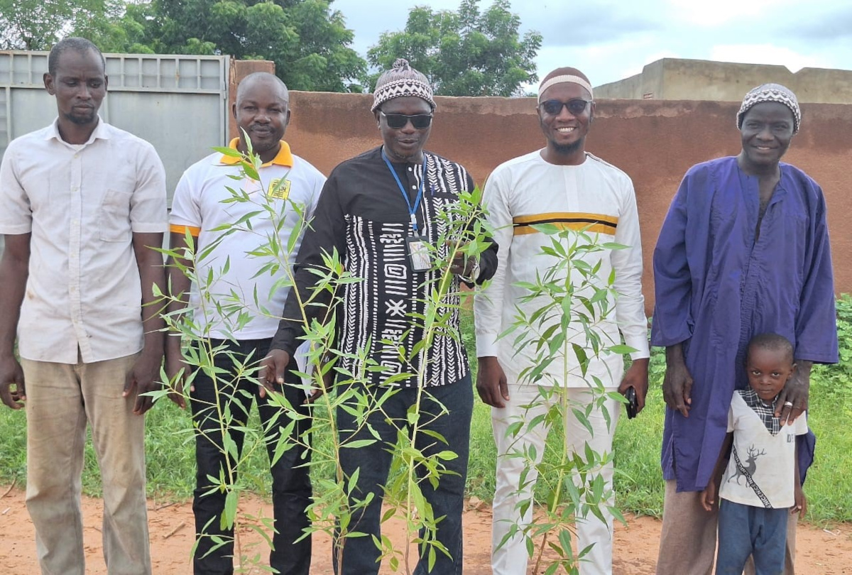 Kayes : journée de reboisement à Bangassy Almamiya