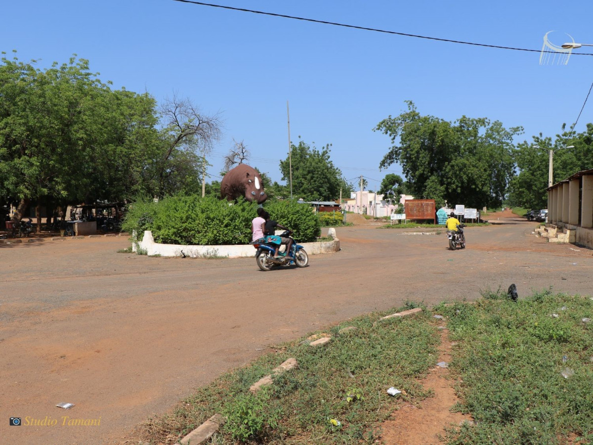 A Bafoulabé le service des eaux et forêts met en garde les exploitants illégaux de la gomme arabique