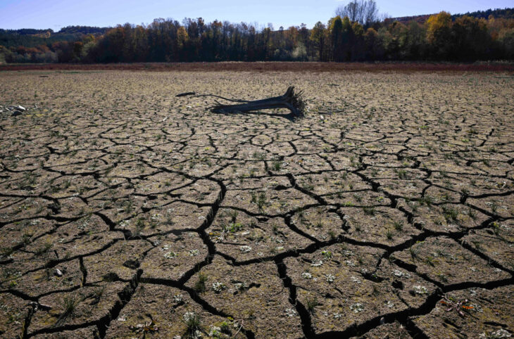 COP 29 : le Mali demande une mobilisation des ressources pour une transition juste