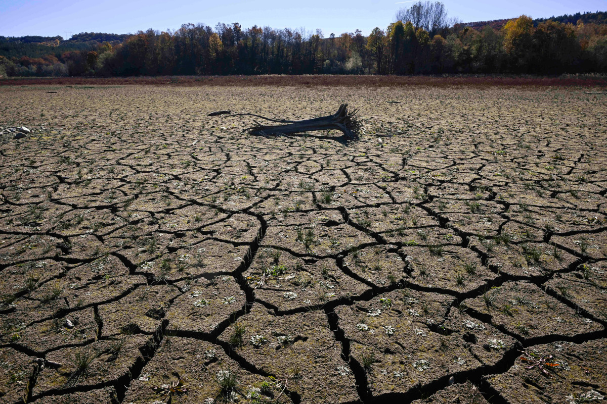 COP 29 : le Mali demande une mobilisation des ressources pour une transition juste