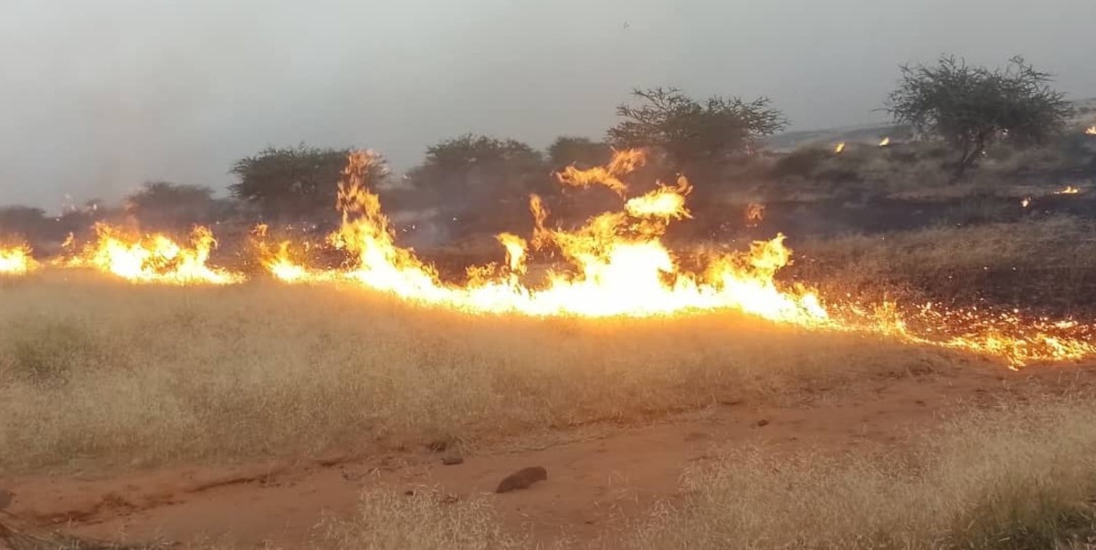 Les feux de brousse à répétition, dangereux pour les sols