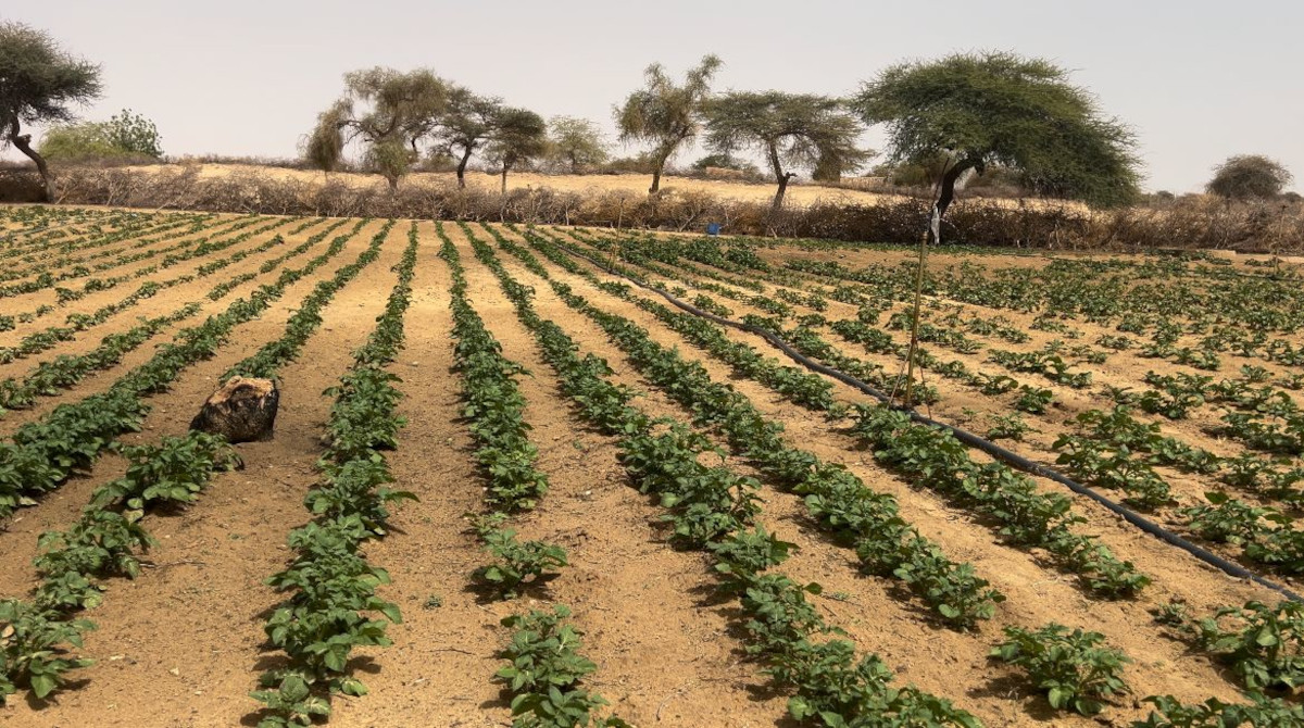 L’agroécologie, un moyen de lutte contre le changement climatique