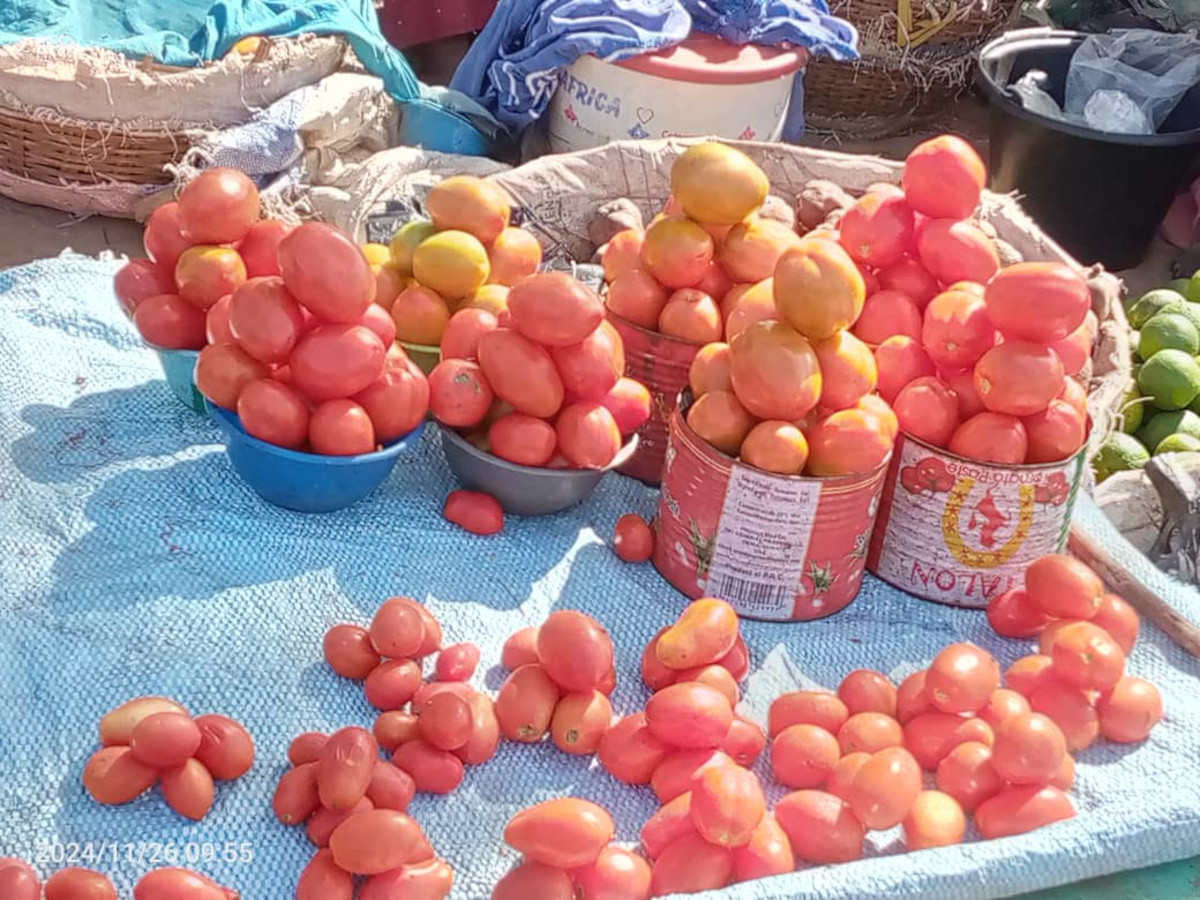 À Sikasso, le prix des tomates fraîches monte en flèche