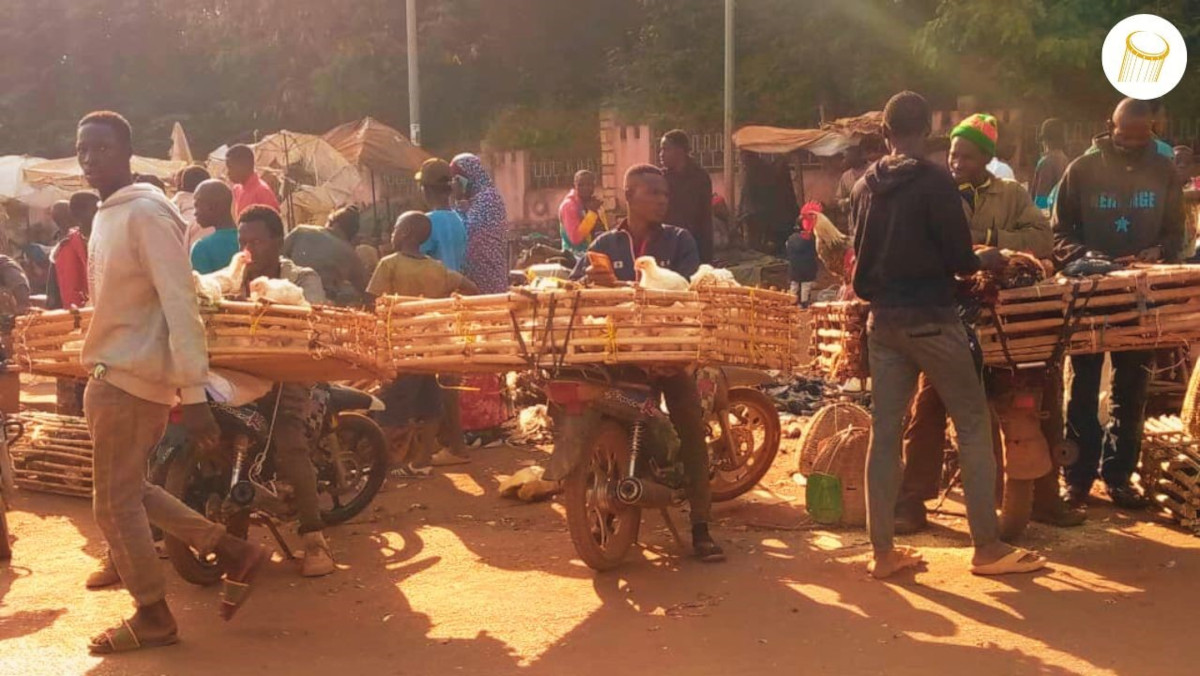 À Sikasso, la vente de poulets prend son envol en ces temps de fête