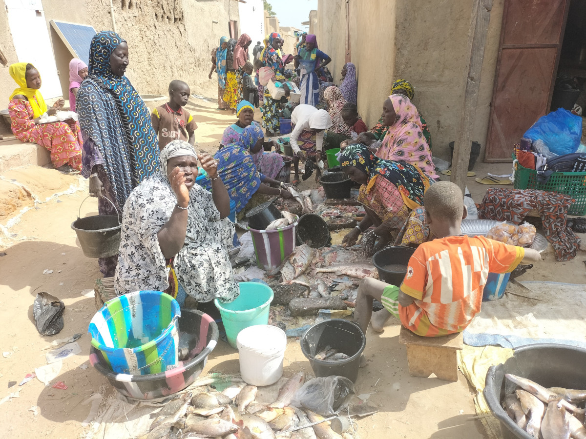 Le poisson en abondance à Bankass et Youwarou