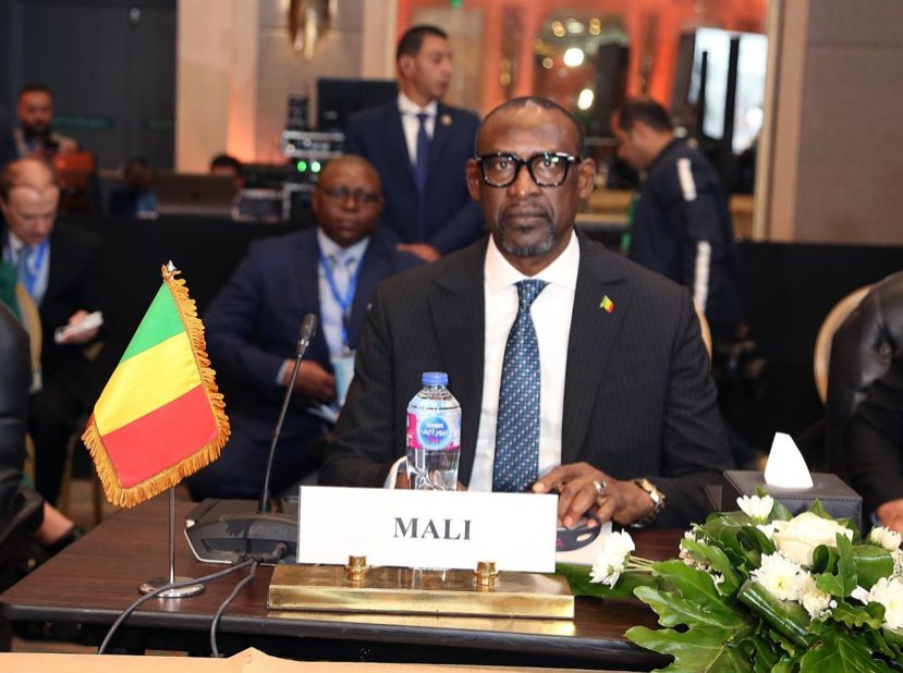 Nouvelles tensions diplomatiques entre le Mali et l’Algérie