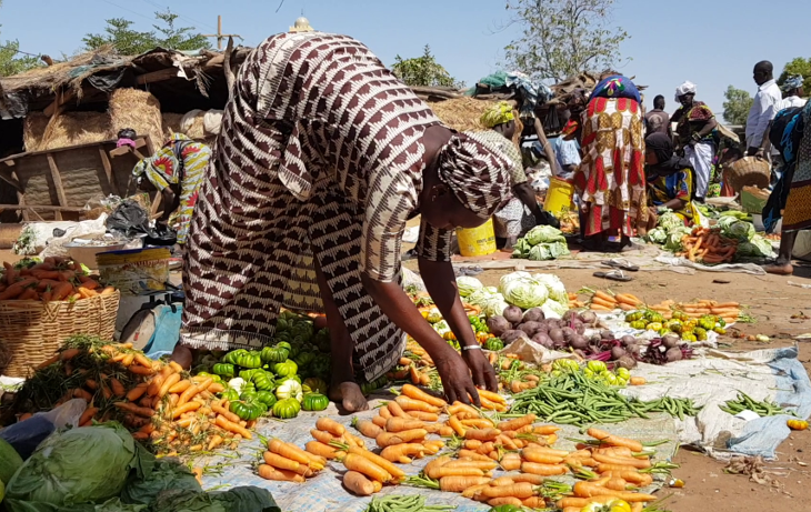 Autonomisation des femmes au Mali : quelle contribution de Studio Tamani ?