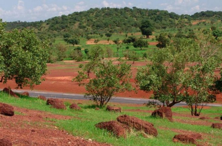 « Parlons de l’Environnement » : Kéniéba risque de se transformer en désert, alertent des habitants du cercle