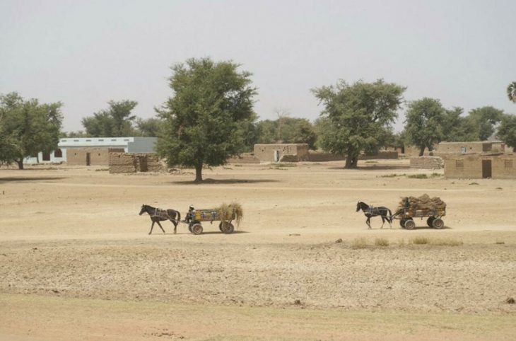 Tensions entre chasseurs et présumés jihadistes au centre du Mali