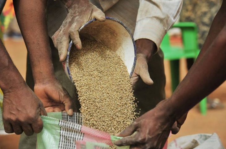 Crise alimentaire : le PAM alerte, les autorités maliennes rassurent