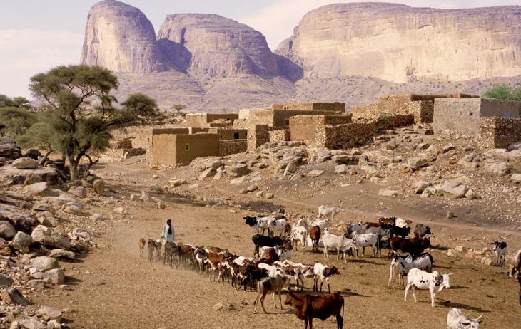 Jeunesse peulh et Dogon : union autour de la paix