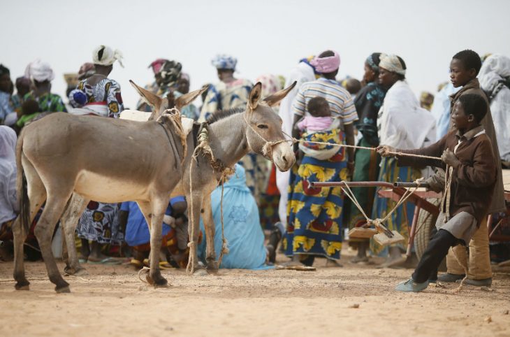 Ansongo : déplacement massif des populations du fait de l’insécurité