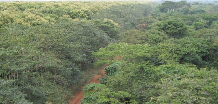 Conférence sur le climat : Le Mali « peine à dégager une position »