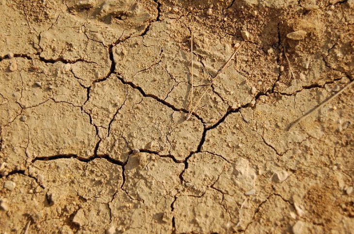 Dégradation des terres : une menace sérieuse au Mali