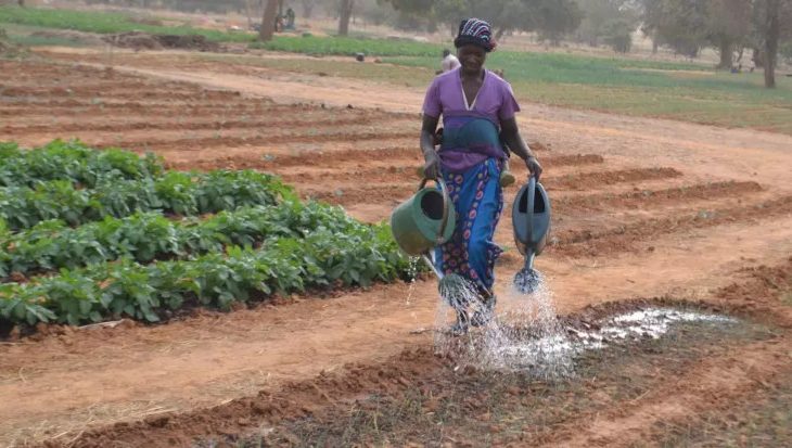 KOUTIALA : concertations sur les technologies et innovations agricoles