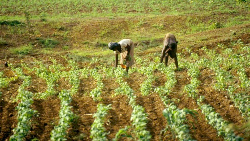 MAHINA : 680 hectares d’espace aménagés pour la population