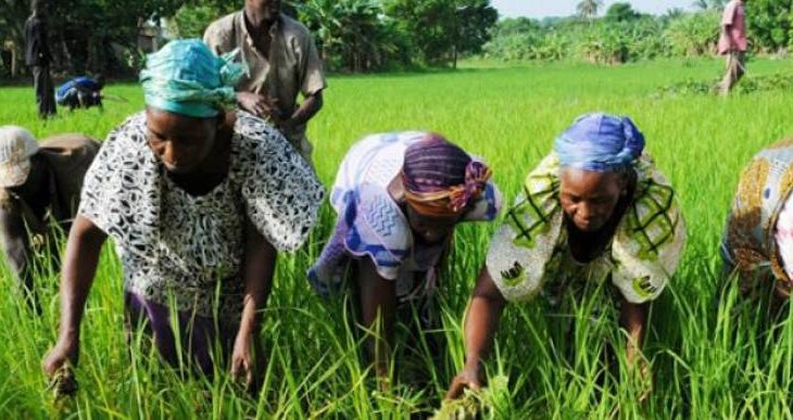 Aïd el fitr et insécurité : des femmes de Diabaly renoncent à la fête en solidarité à leurs sœurs de Dogofri